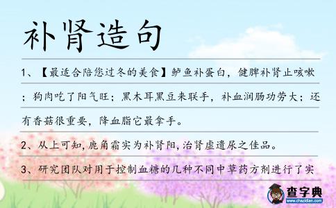 補腎造句