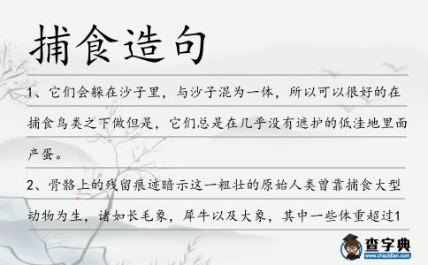 捕食造句