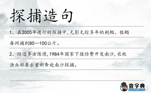 探捕造句