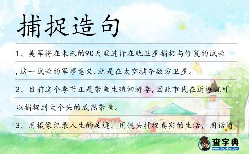 捕捉造句