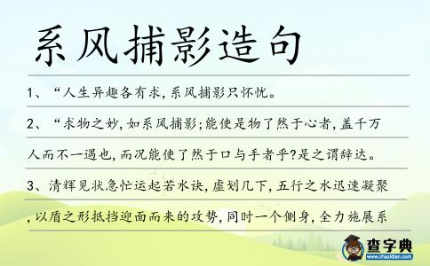 系風捕影造句