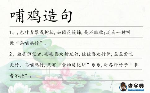 哺雞造句