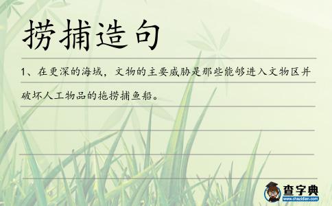 撈捕造句