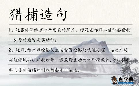 獵捕造句