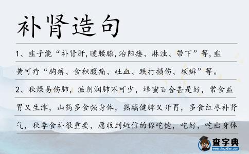 補腎造句