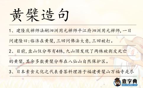 黃檗造句