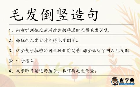毛發倒豎造句