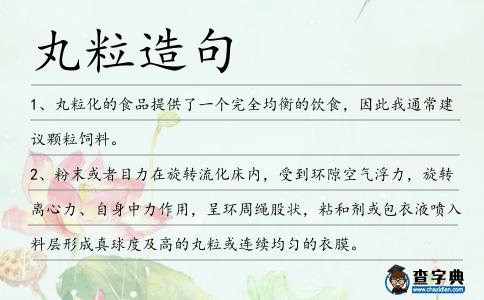 丸粒造句