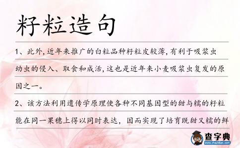 籽粒造句