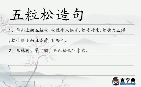 五粒松造句