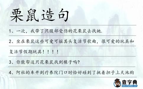 栗鼠造句