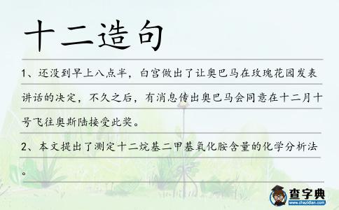 十二造句