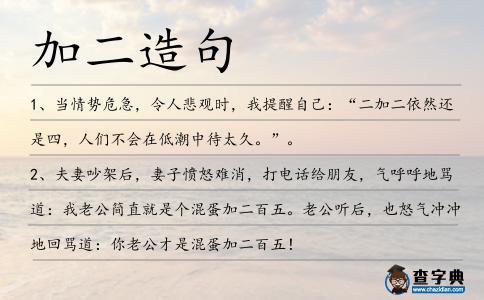 加二造句