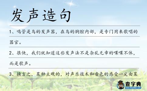 發(fā)聲造句