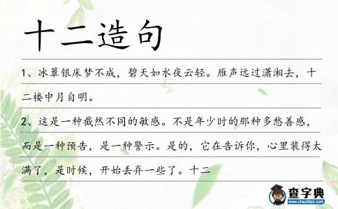 十二造句