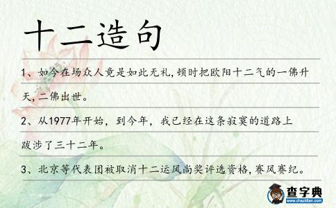 十二造句