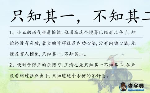 只知其一,不知其二造句