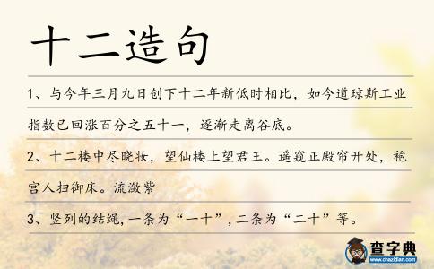 十二造句