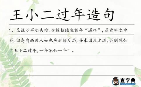 王小二過年造句