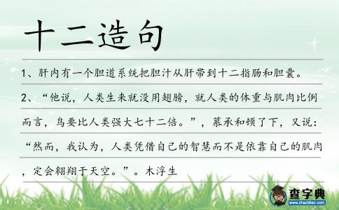 十二造句