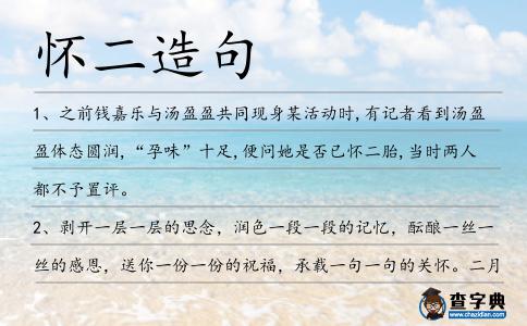 懷二造句