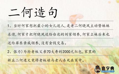 二何造句