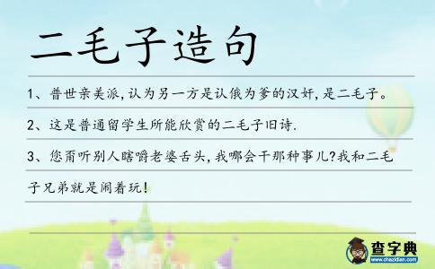 二毛子造句
