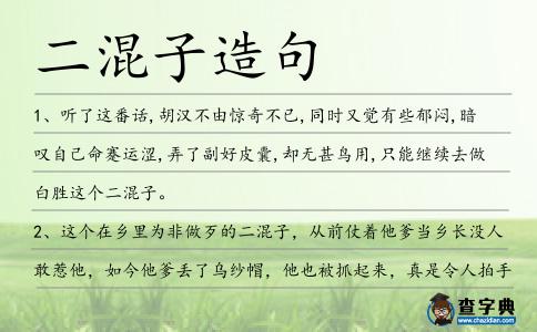 二混子造句