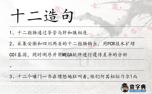 十二造句