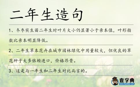 二年生造句