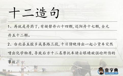十二造句