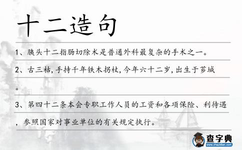 十二造句