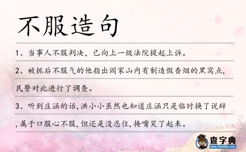不服造句