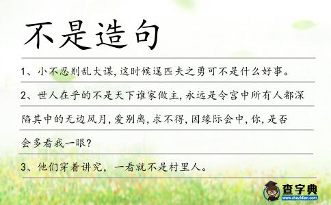 不是造句