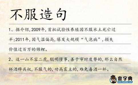 不服造句