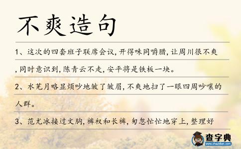 不爽造句