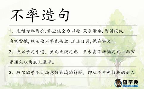 不率造句