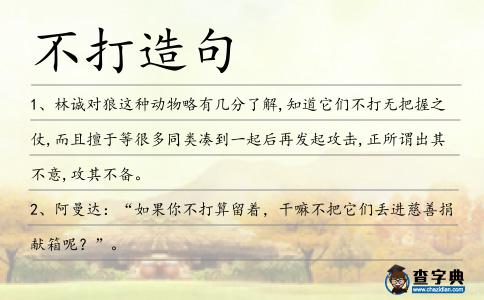 不打造句