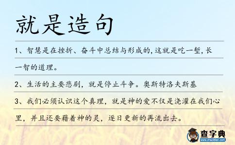 就是造句