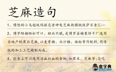 芝麻造句