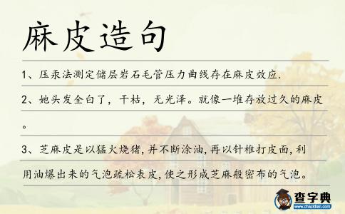 麻皮造句