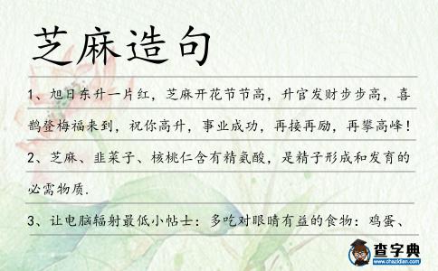 芝麻造句