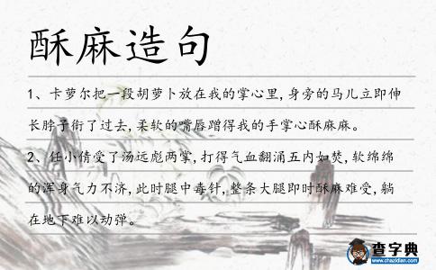 酥麻造句