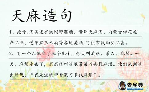 天麻造句