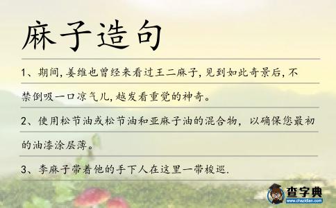 麻子造句