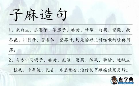 子麻造句