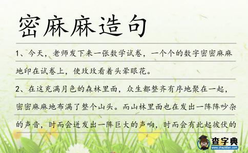 密麻麻造句