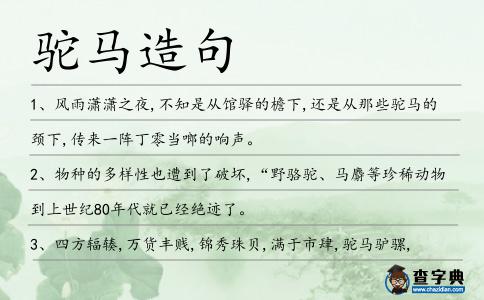 駝馬造句