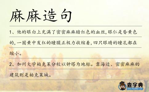 麻麻造句