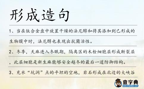 形成造句